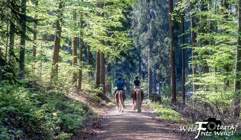 Scheune Anni Gutach Esterno foto