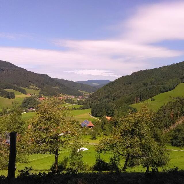 Scheune Anni Gutach Esterno foto